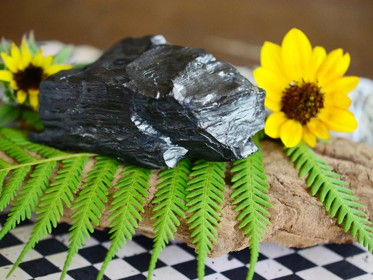 Jet Stone Jet Stone: Formation, History, Uses, & Fun Facts– Tejas Beads