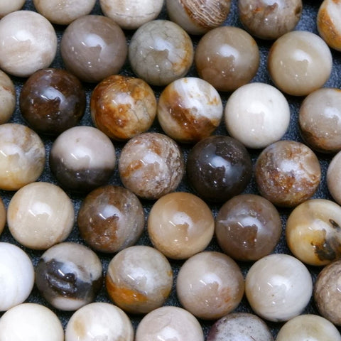 Petrified Wood Beads