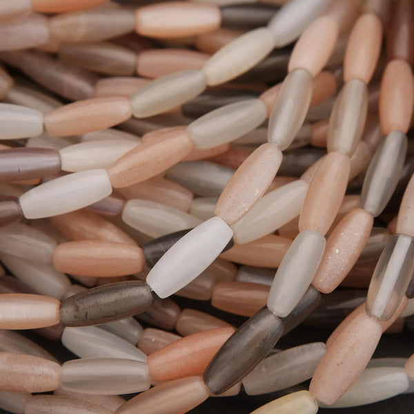 Close-up of multicolored rice grains