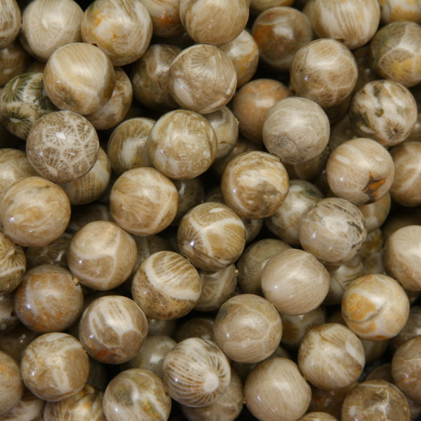 Petoskey Stone Coral Beads.