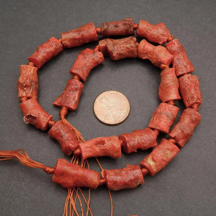 Red Sponge Coral (alt) · Raw · Freeform Tube · 9mm, Tejas Beads, Beads