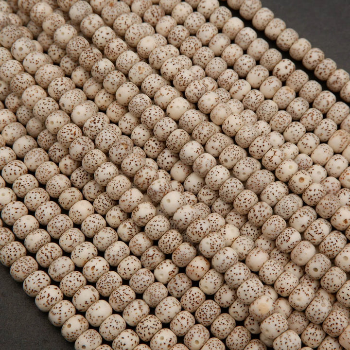 Star & Moon Bodhi Seed · Smooth · Rondelle · 6x8mm, Tejas Beads, Beads