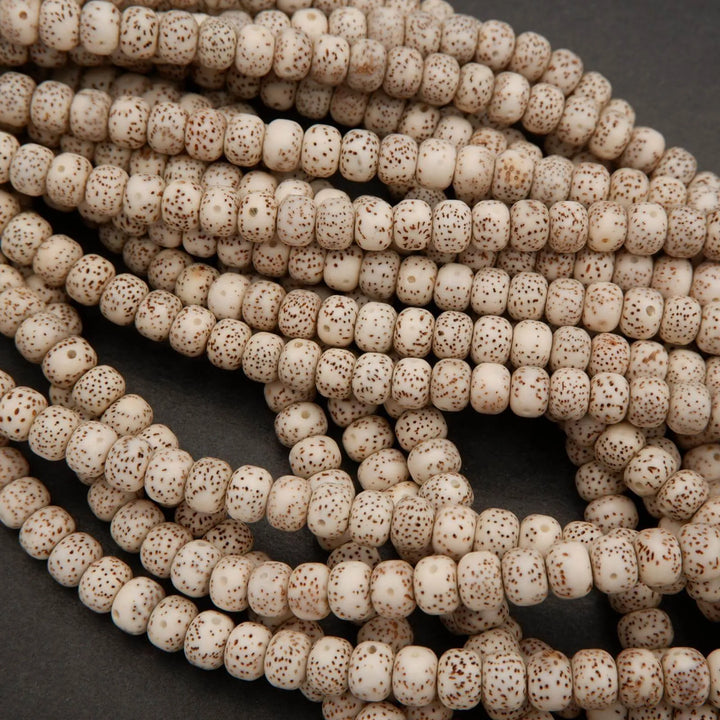 Star & Moon Bodhi Seed · Smooth · Rondelle · 6x8mm, Tejas Beads, Beads