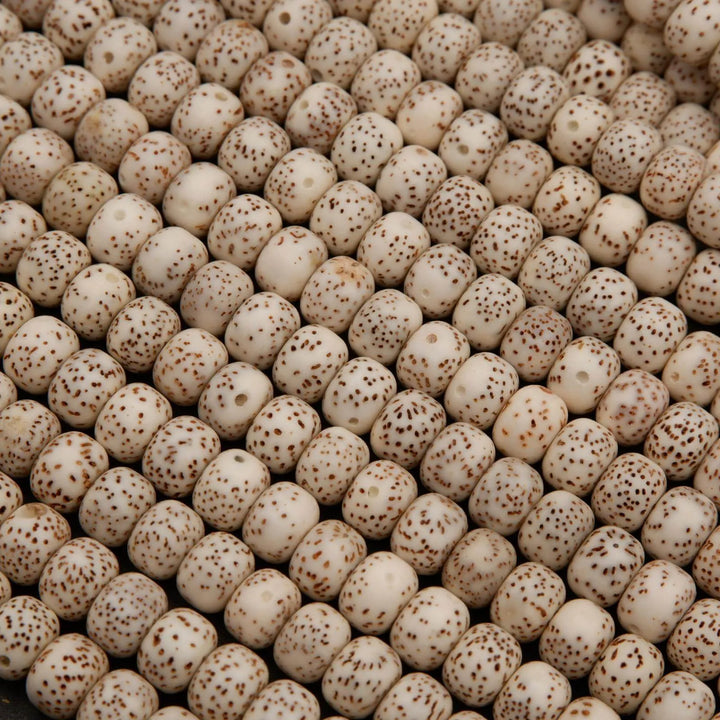 Star & Moon Bodhi Seed · Smooth · Rondelle · 6x8mm, Tejas Beads, Beads