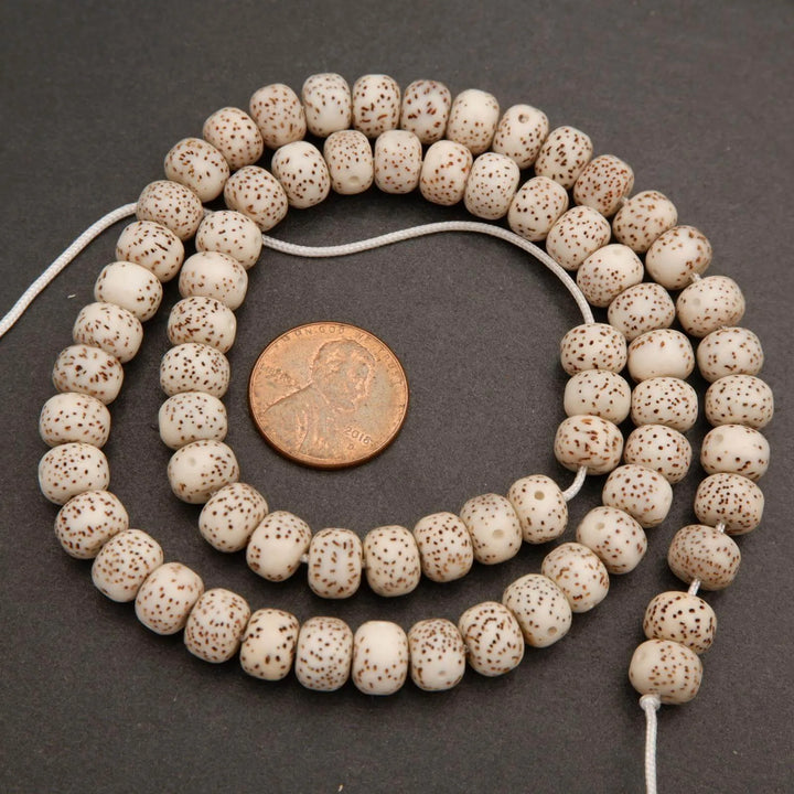 Star & Moon Bodhi Seed · Smooth · Rondelle · 6x8mm, Tejas Beads, Beads