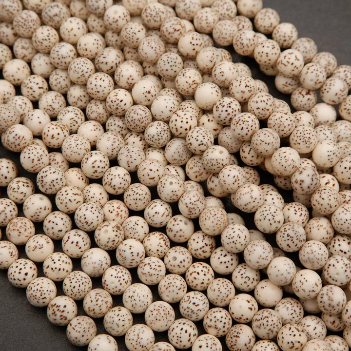 Star & Moon Bodhi Seed · Smooth · Round · 8mm, 10mm, Tejas Beads, Beads