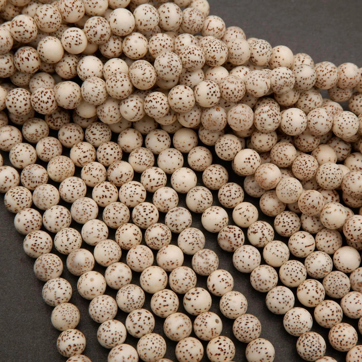 Star & Moon Bodhi Seed · Smooth · Round · 8mm, 10mm, Tejas Beads, Beads