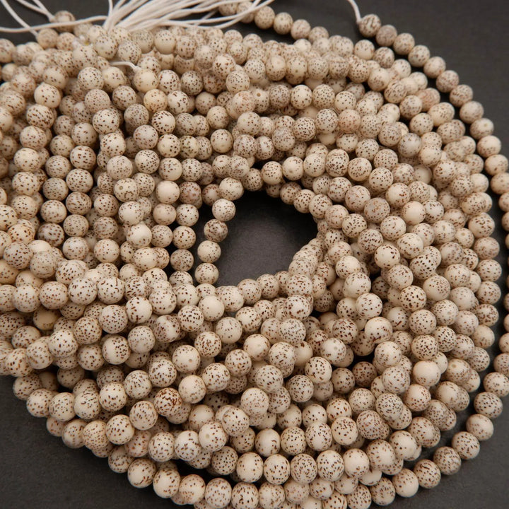 Star & Moon Bodhi Seed · Smooth · Round · 8mm, 10mm, Tejas Beads, Beads