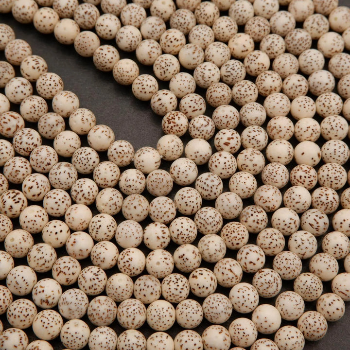 Star & Moon Bodhi Seed · Smooth · Round · 8mm, 10mm, Tejas Beads, Beads