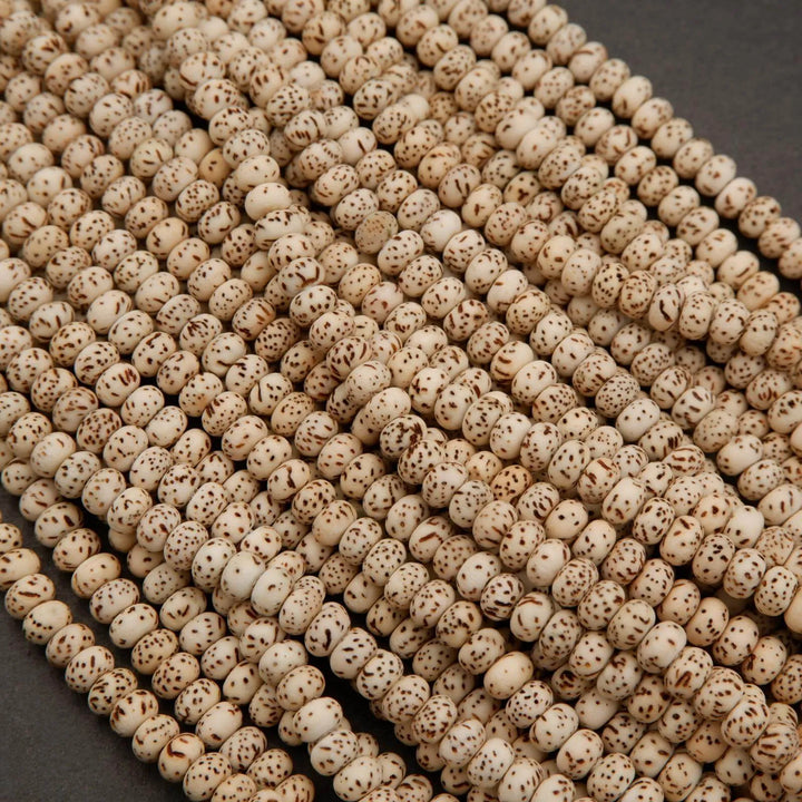 Star & Moon Bodhi Seed · Smooth · Rondelle · 4x6mm, Tejas Beads, Beads