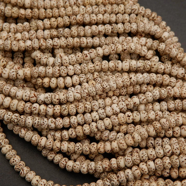 Star & Moon Bodhi Seed · Smooth · Rondelle · 4x6mm, Tejas Beads, Beads
