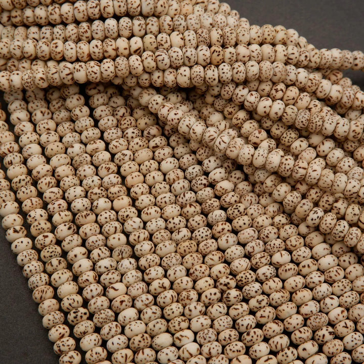Star & Moon Bodhi Seed · Smooth · Rondelle · 4x6mm, Tejas Beads, Beads
