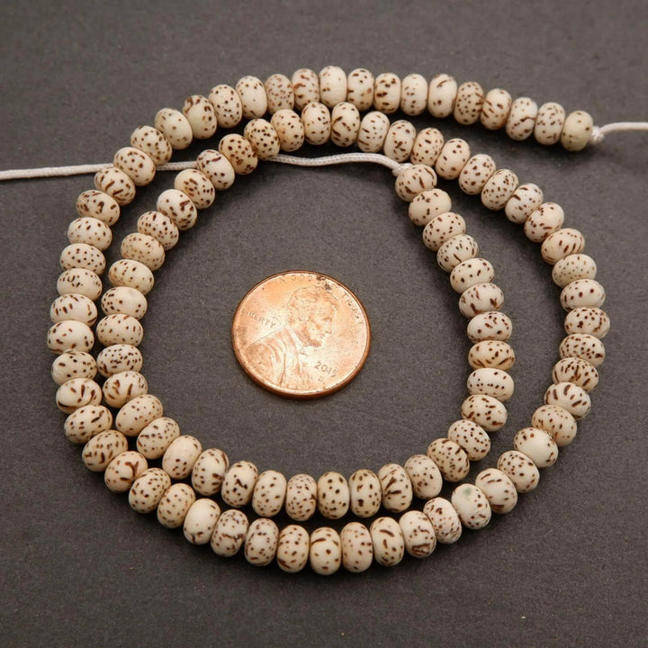 Star & Moon Bodhi Seed · Smooth · Rondelle · 4x6mm, Tejas Beads, Beads