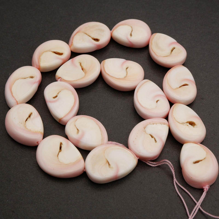 Queen Conch Shell · Smooth · Freeform, Tejas Beads, Beads
