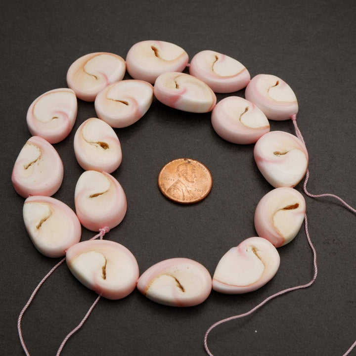 Queen Conch Shell · Smooth · Freeform, Tejas Beads, Beads