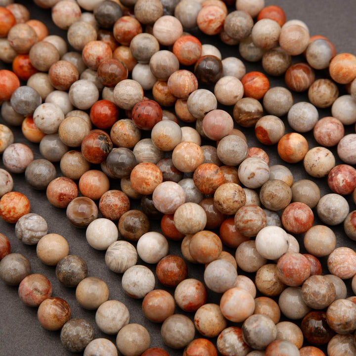 Fossil Coral · Smooth · Round · 6mm, 8mm, Tejas Beads, Beads