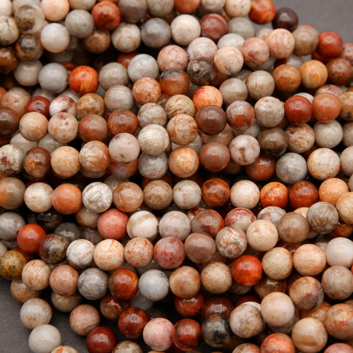 Fossil Coral · Smooth · Round · 6mm, 8mm, Tejas Beads, Beads