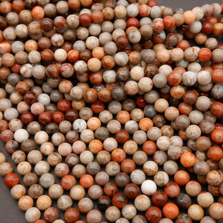 Fossil Coral · Smooth · Round · 6mm, 8mm, Tejas Beads, Beads