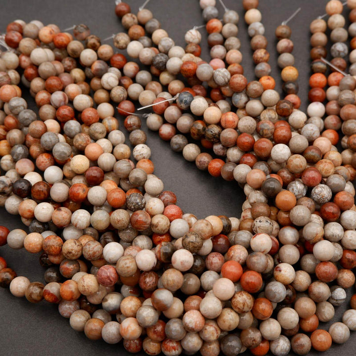 Fossil Coral · Smooth · Round · 6mm, 8mm, Tejas Beads, Beads