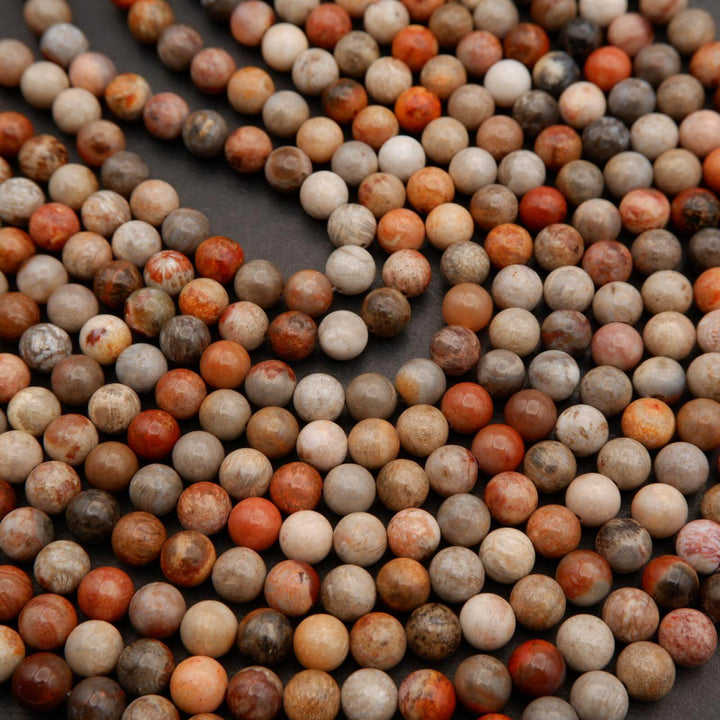 Fossil Coral · Smooth · Round · 6mm, 8mm, Tejas Beads, Beads