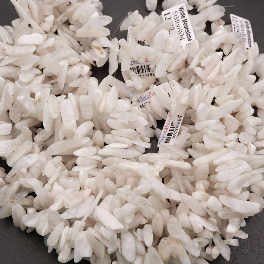 White coral pieces with small labels on a dark background