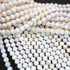Creamy White Shell Beads with Yellow Highlights.
