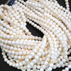 White Shell Beads with Yellow Highlights.
