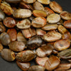 Petrified Wood Beads.