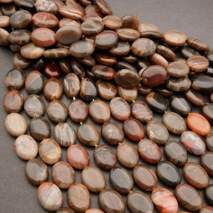 Petrified Wood · Smooth · Oval · 8mm, 10mm, 12mm, 13mm, Tejas Beads, Beads