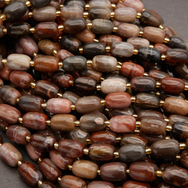 Petrified Wood · Smooth · Barrel · 8mm, 10mm, Tejas Beads, Beads