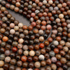 Petrified Wood · Smooth · Round · 4mm, 6mm, 8mm, 10mm, Tejas Beads, Beads