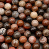 Petrified Wood · Smooth · Round · 4mm, 6mm, 8mm, 10mm, Tejas Beads, Beads