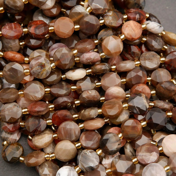 Petrified Wood · Faceted · Coin · 8mm, 10mm, Tejas Beads, Beads
