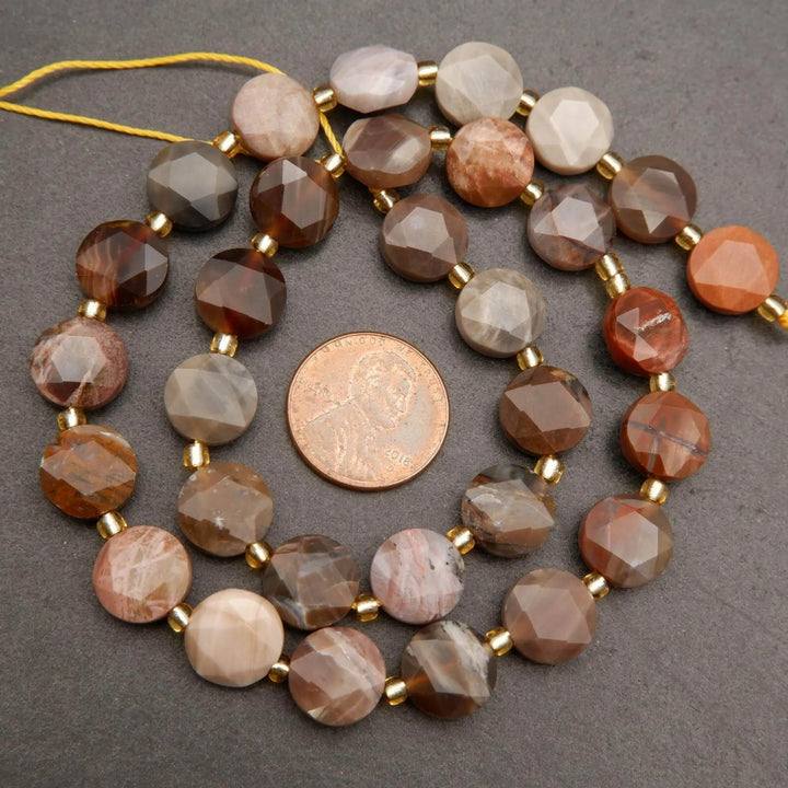 Petrified Wood · Faceted · Coin · 8mm, 10mm, Tejas Beads, Beads
