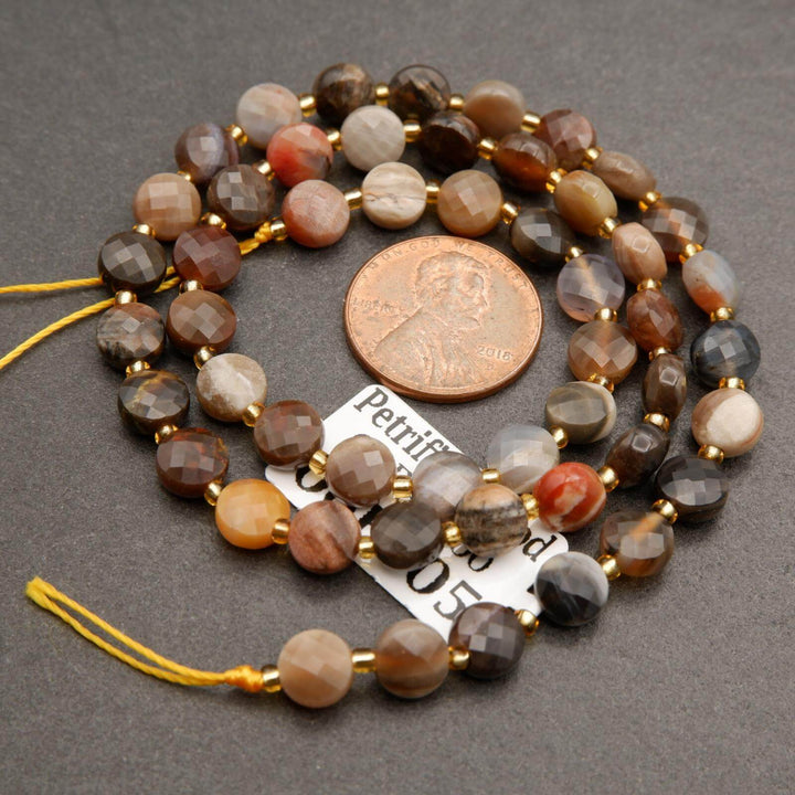 Petrified Wood · Faceted · Coin · 6mm, Tejas Beads, Beads