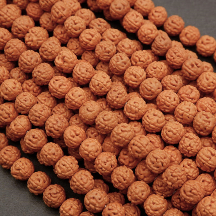 Rudraksha Seed · Smooth · Round · 8mm, 9mm, Tejas Beads, Beads
