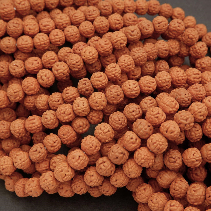 Rudraksha Seed · Smooth · Round · 8mm, 9mm, Tejas Beads, Beads