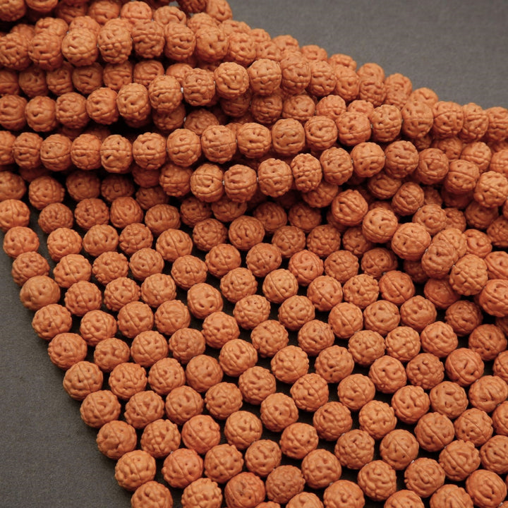Rudraksha Seed · Smooth · Round · 8mm, 9mm, Tejas Beads, Beads