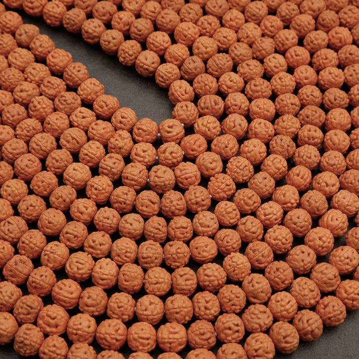 Rudraksha Seed · Smooth · Round · 8mm, 9mm, Tejas Beads, Beads