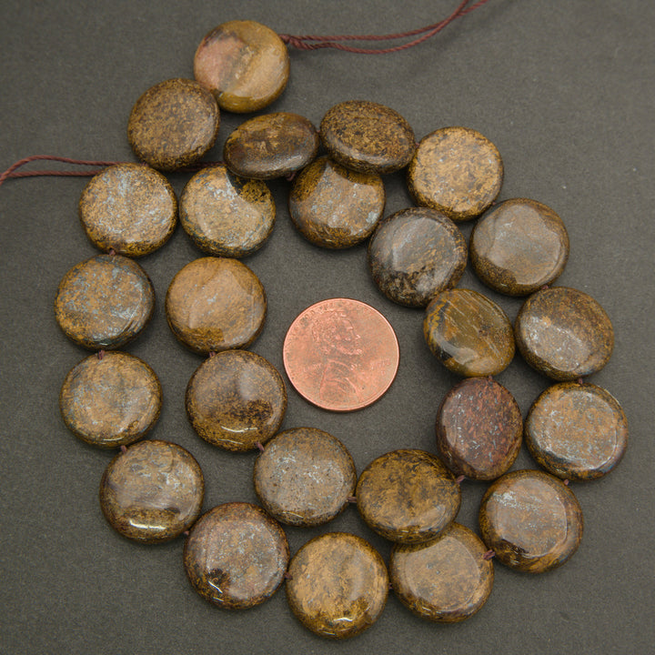 Collection of brown stones on a gray surface with a penny for scale.
