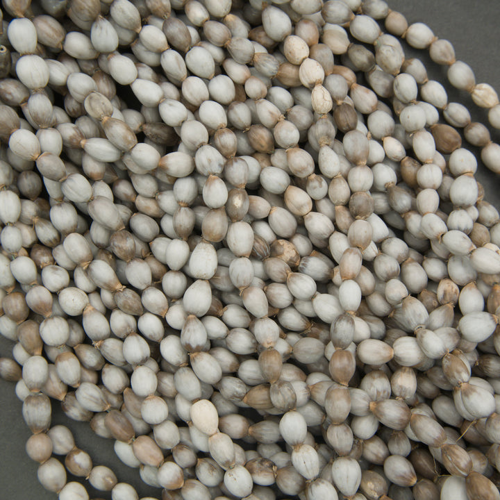 Close-up of a pile of small, round, beige and white seeds.