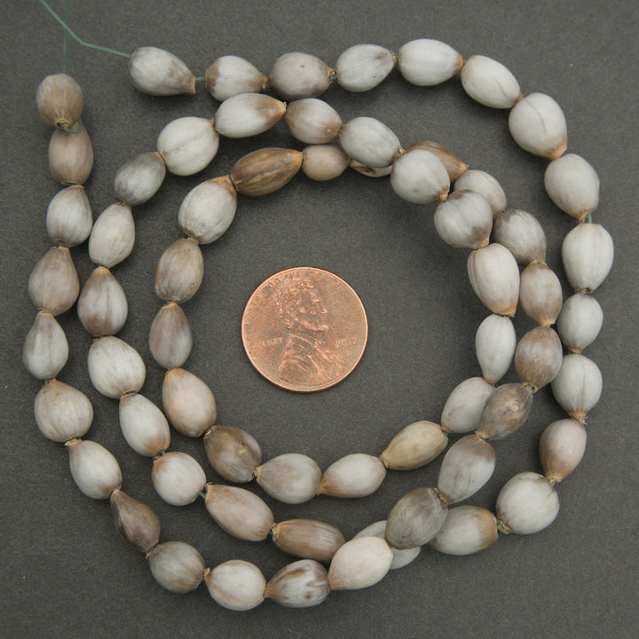 String of white and brown beads with a penny for scale on a gray background