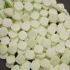 A close-up pile of small, rounded, pale mint-green square-shaped beads or decorative pieces on a dark background.