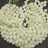 A pile of small, pale greenish-white square beads with rounded edges, strung on thin green cords, displayed on a dark gray background.