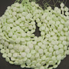 Light green beads on a dark background