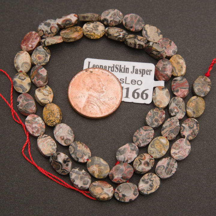 A strand of faceted leopard skin jasper oval beads coiled around a penny for scale