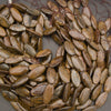 A pile of small, polished, olive-brown seed or nut-shaped beads with natural striated patterns, strung on thin brown cords.