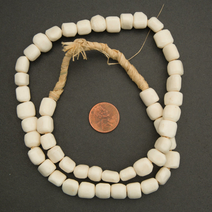 String of white beads with a penny for scale on a dark background