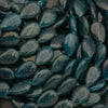 Close-up of dark blue oval-shaped seeds or stones.