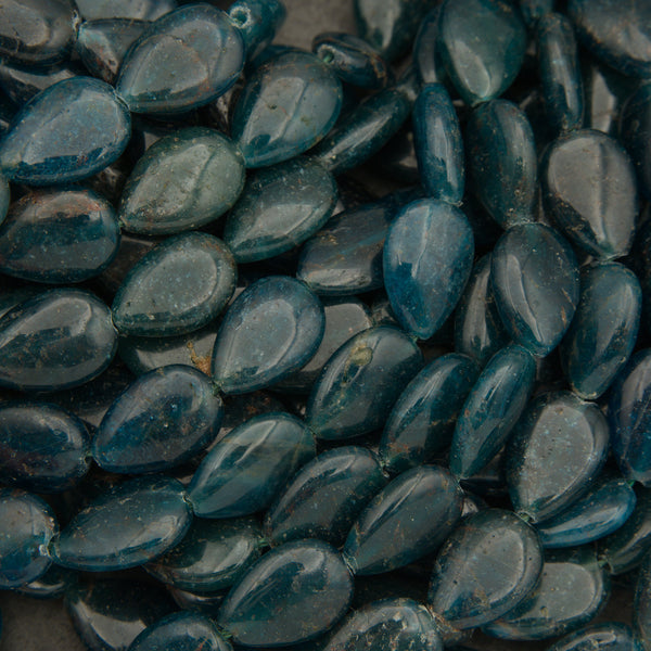 Close-up of dark blue oval-shaped seeds or stones.